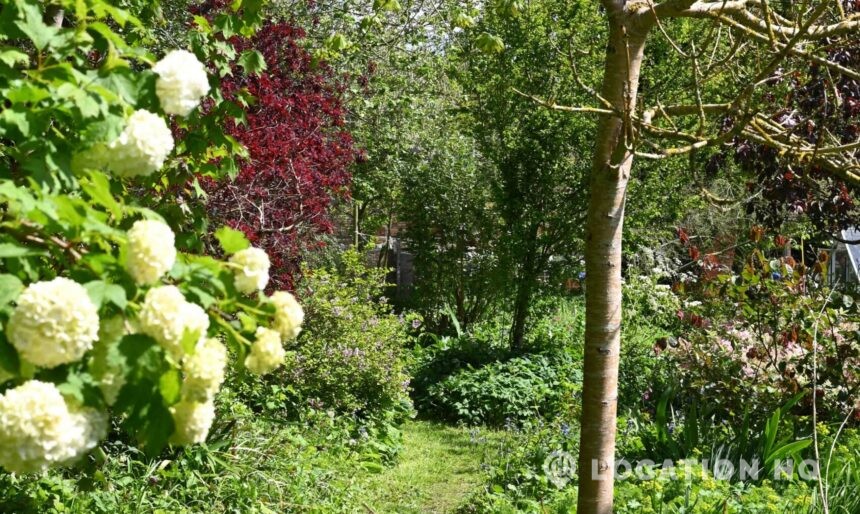 Gothic Country House image 3