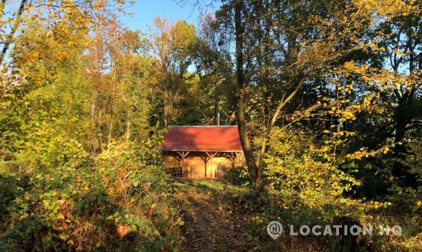 The Woodland Cabins image 1