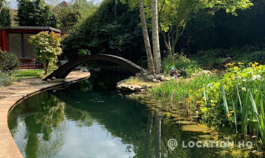family house with pool