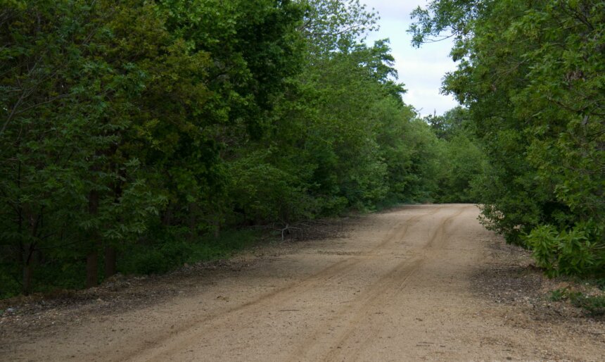 Forest dirt road film location