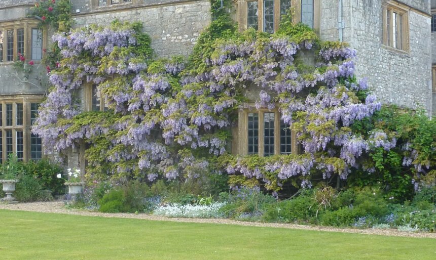 The Elizabethan Manor House image 3