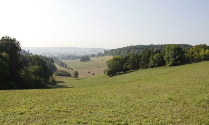 The Valley image 2
