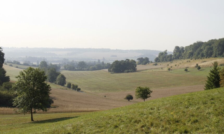 The Valley image 3