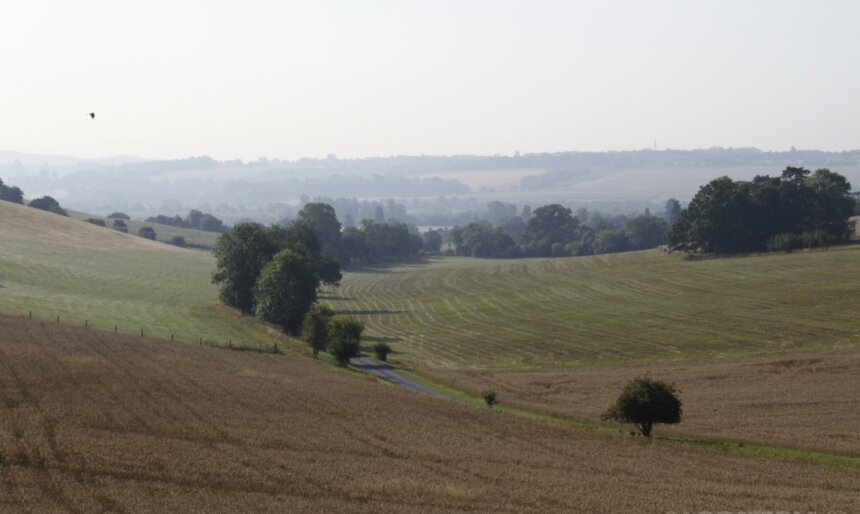 landscape
