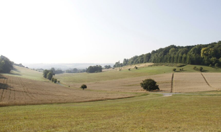landscape
