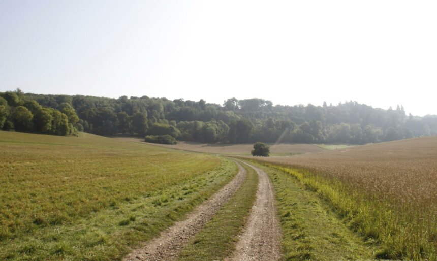 The Valley image 1