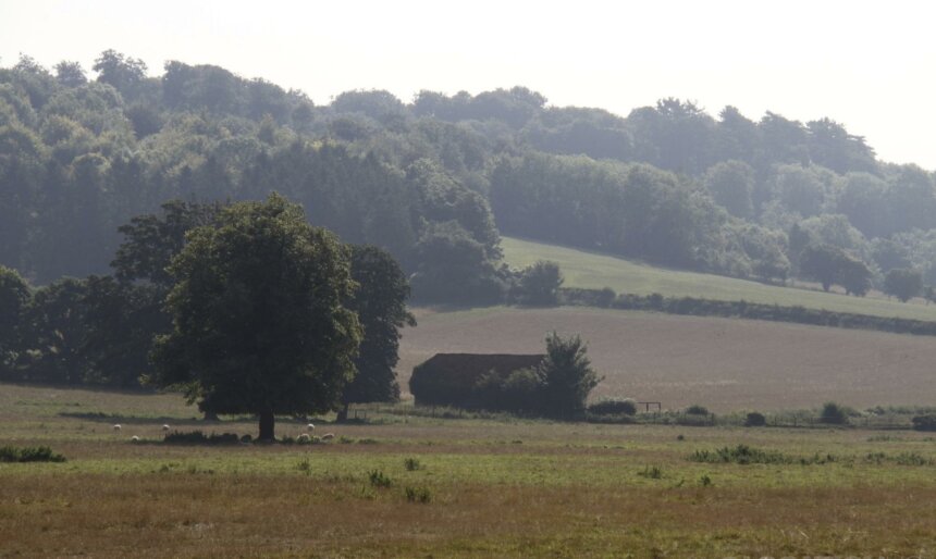 The Wooden Barn image 3