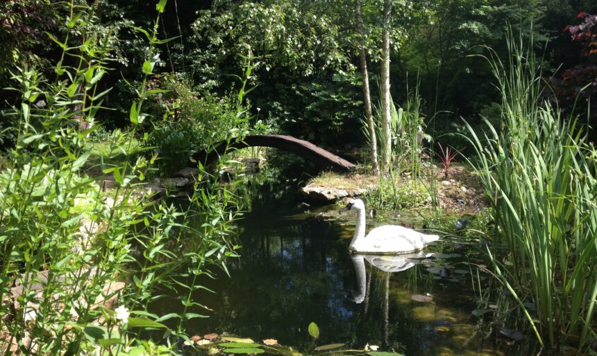 Family garden film location