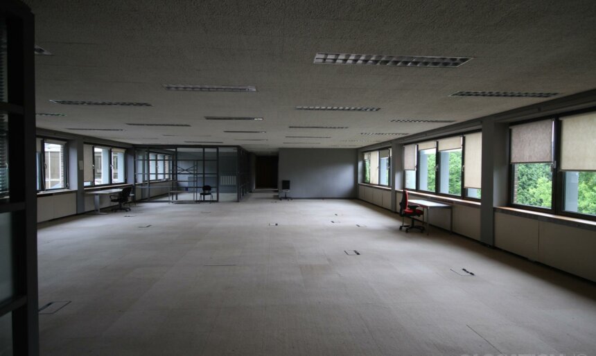 The Empty Offices image 1