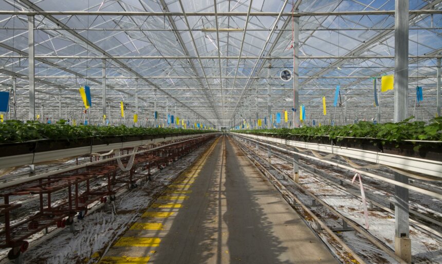 The Industrial Greenhouses image 3