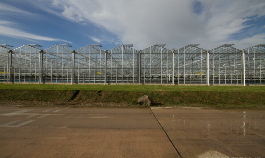 The Industrial Greenhouses image 1