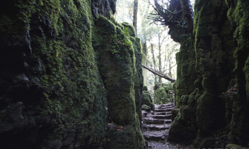 collapsed mine in a forest film location