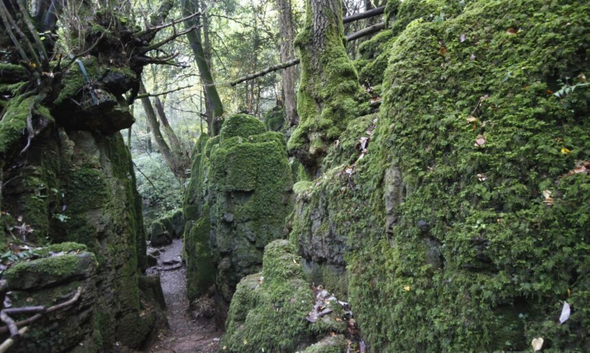 Forest boulder filming