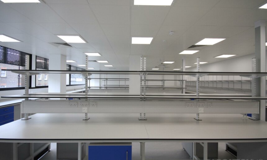 lab
