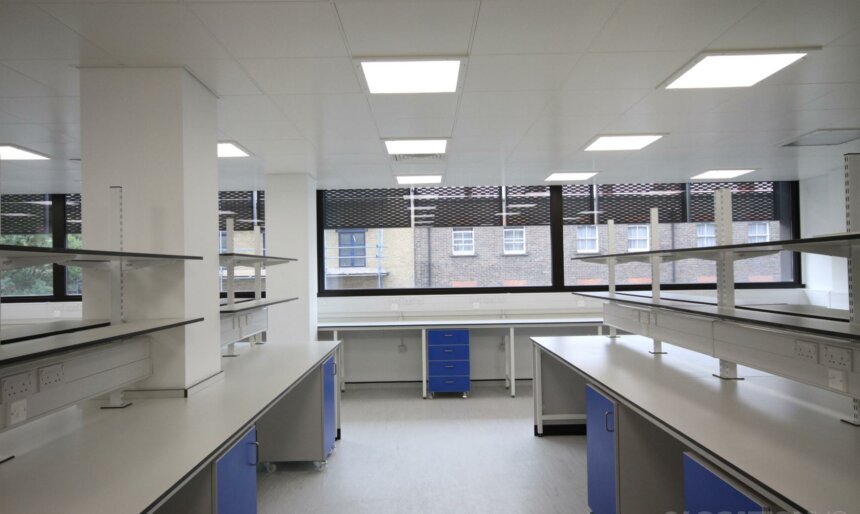 lab