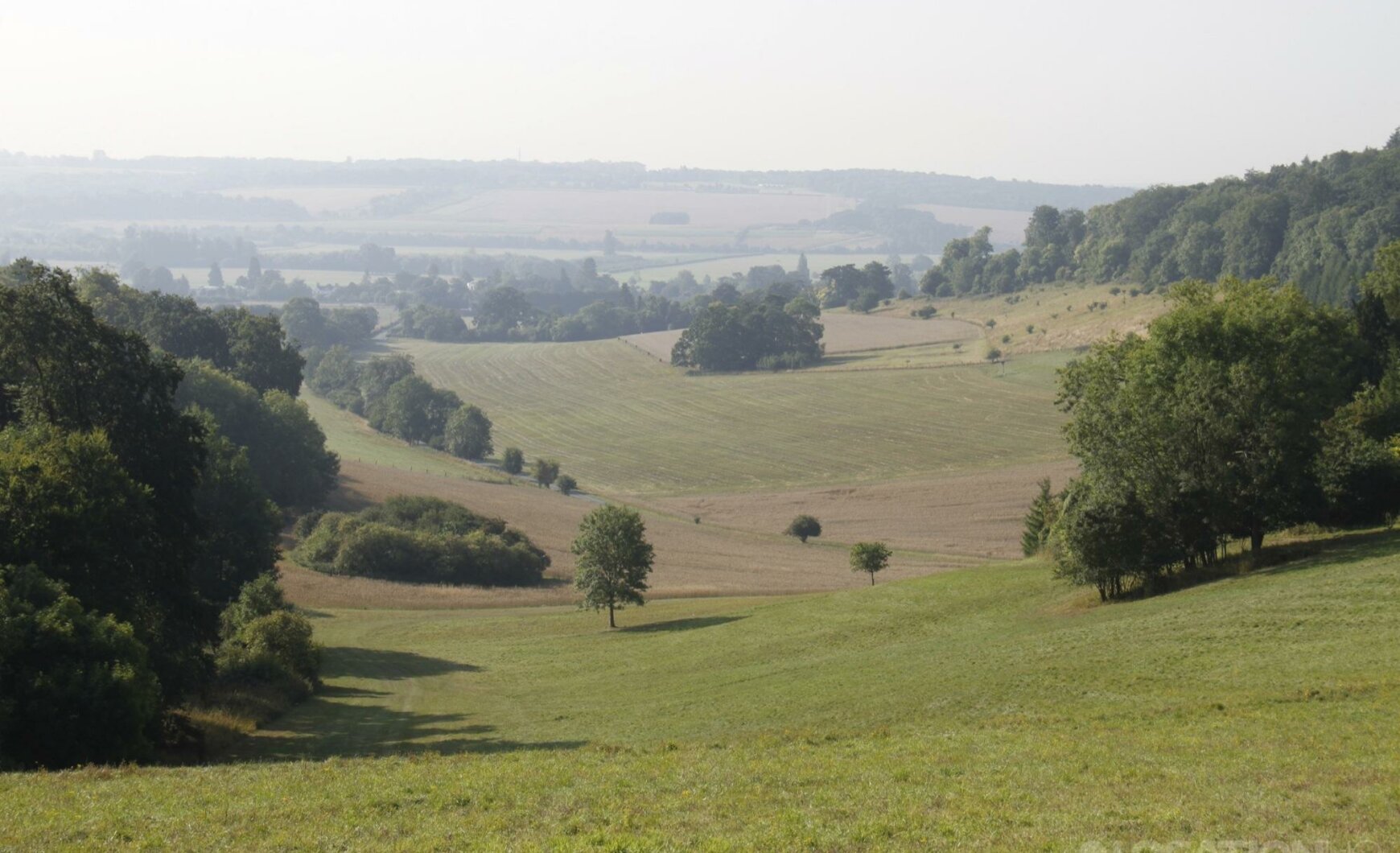 landscape woodland