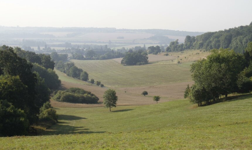 The Valley