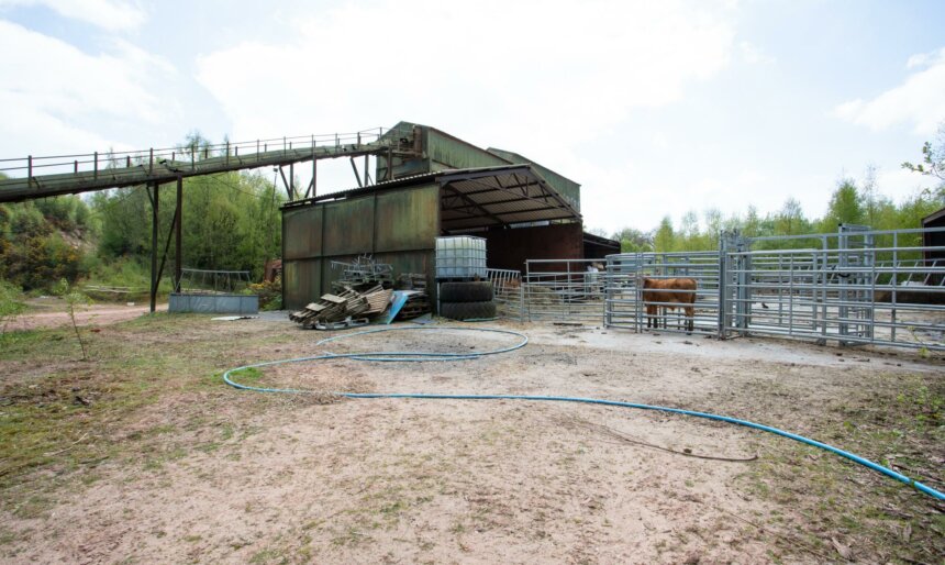 Sand quarry, Manchester image 1