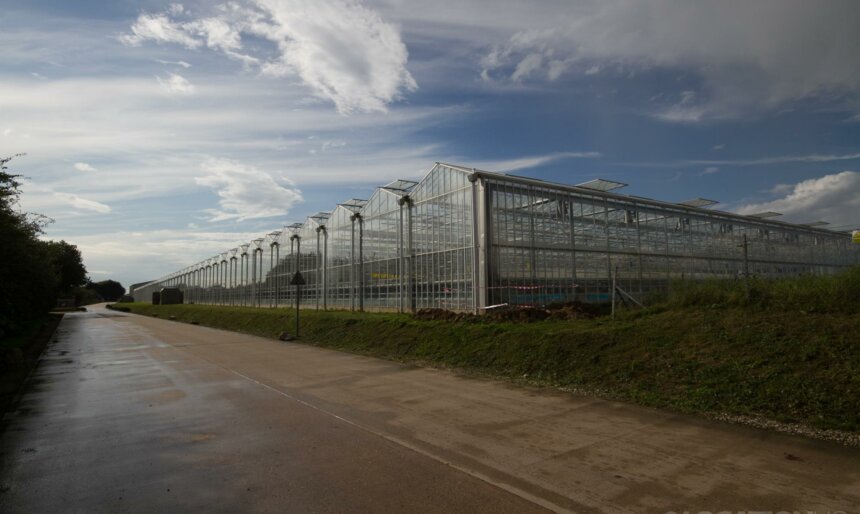 The Industrial Greenhouses