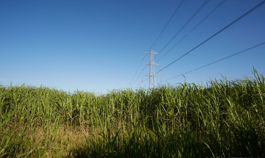 The Berkshire Electric Pylons image 2