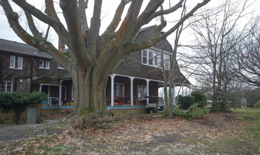 Large tree outside American / Canadian style house, a great place for a film shoot