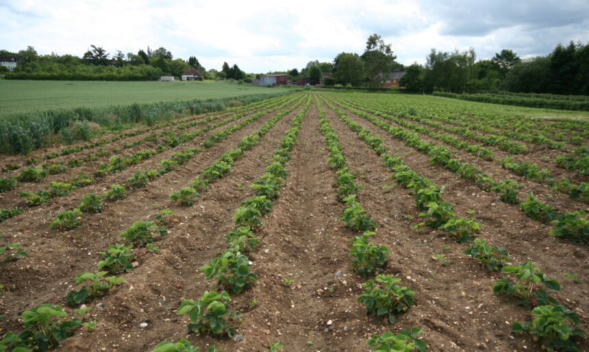 Agricultural