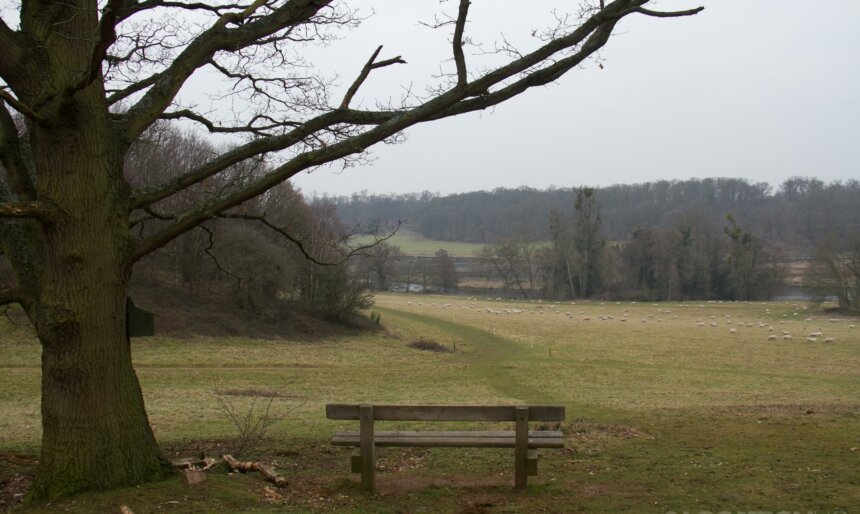 The Valley Lake