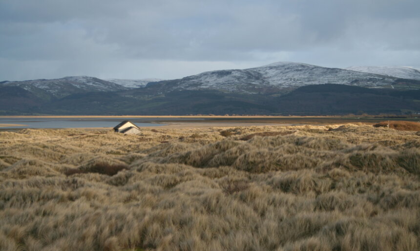 Landscape