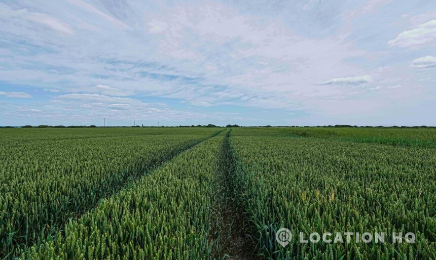 farmers field farm film location Kent