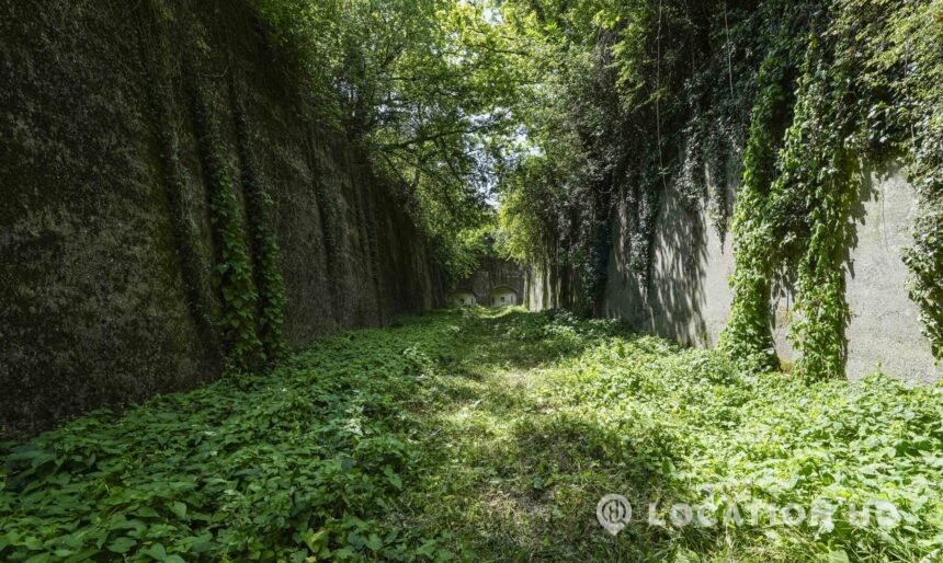 tunnel