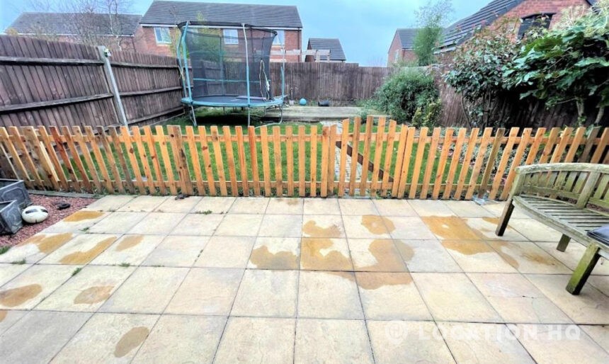 suburban house backyard