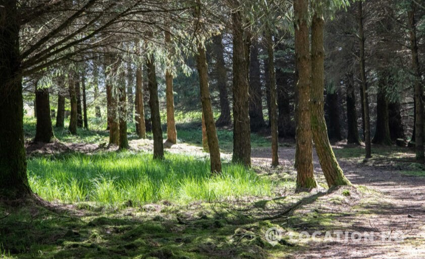 american style house estate for filming