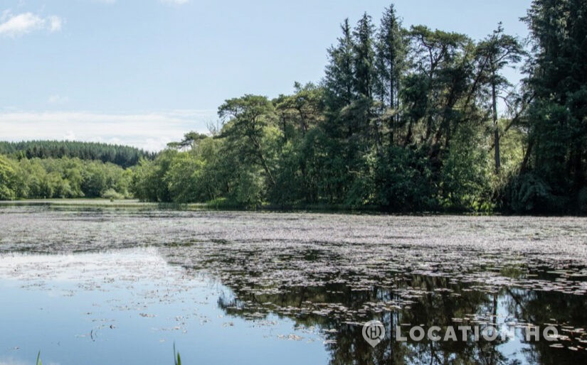 american style house with lake