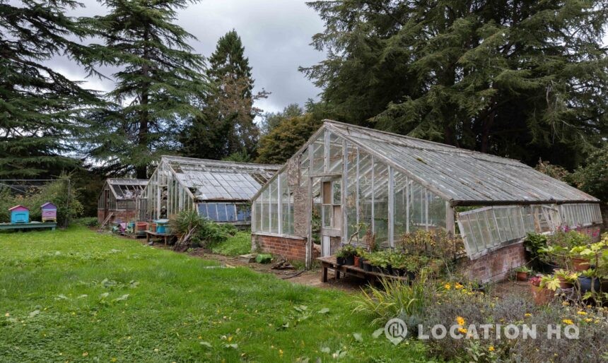 green house greenhouse
